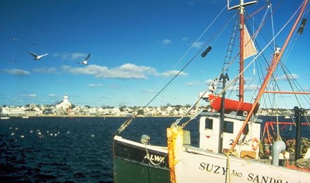 Beautiful Cape Cod Scenery